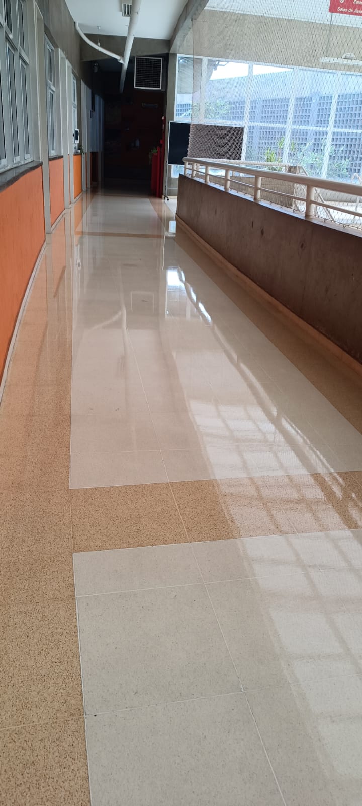 Resultado de limpeza residencial